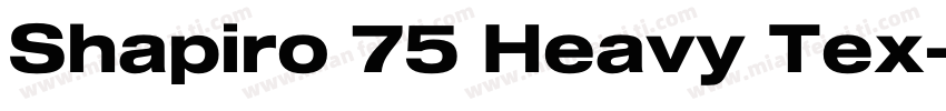 Shapiro 75 Heavy Tex字体转换